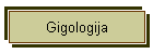 Gigologija