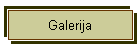 Galerija